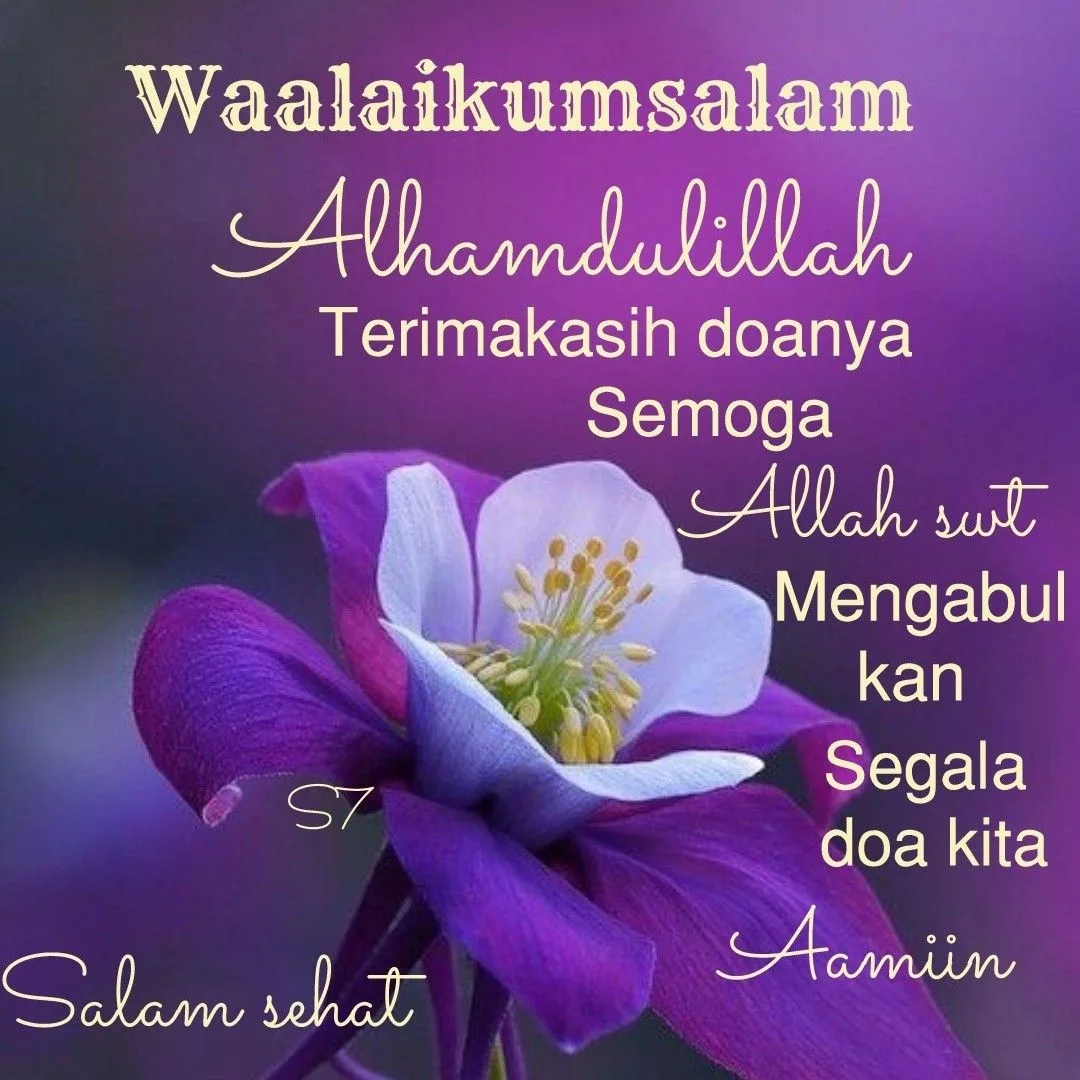 Perbedaan Wa'alaikum Salam dan Assalamu'alaikum