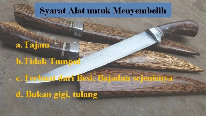 Alat Menyembelih untuk Kebutuhan Skala Rumah Tangga dan