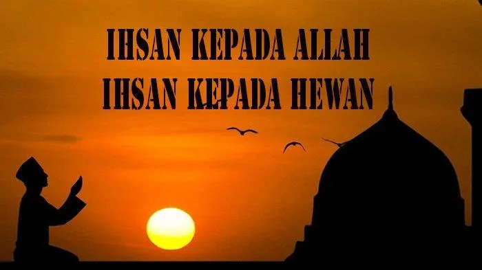arti ihsan: Rukun Ihsan sebagai Fondasi Praktis