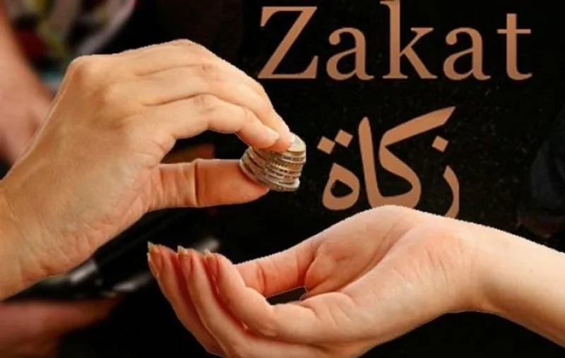 Peran Amil dan Lembaga Zakat dalam Pengelolaan yang