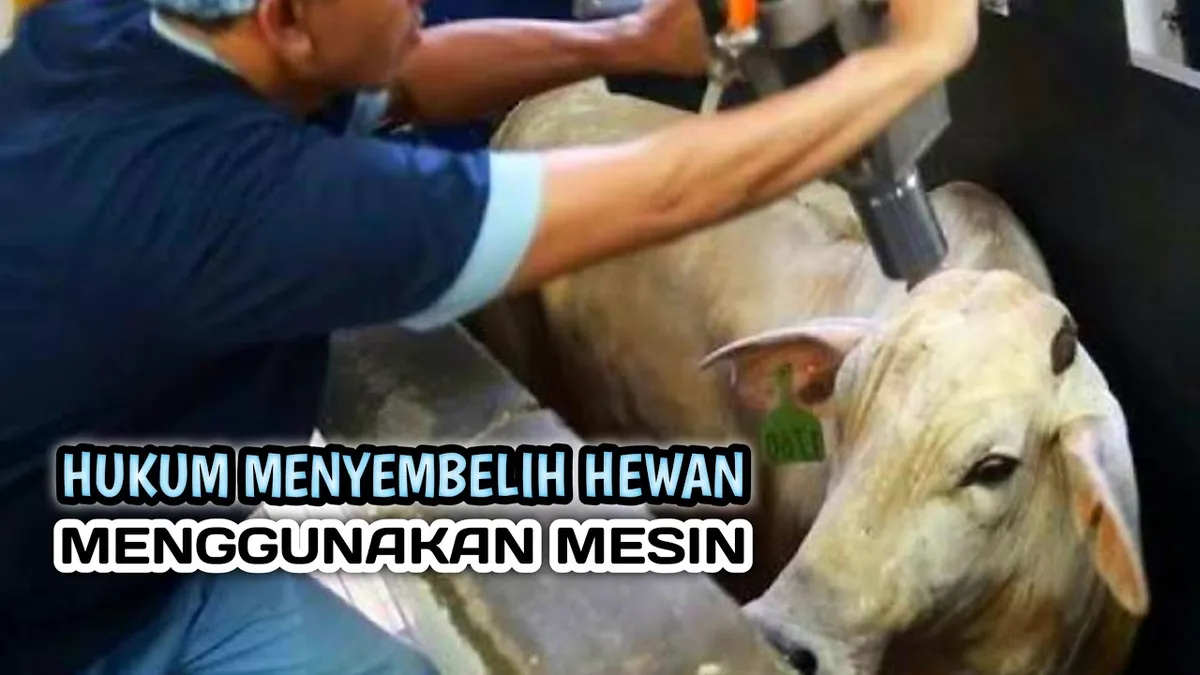 Hukum Menyembelih dalam Konteks Modern