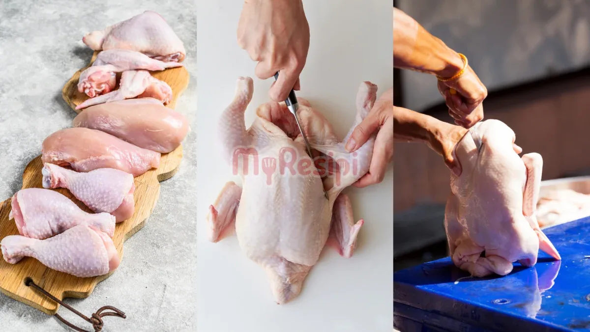 Doa Memotong Ayam dalam Konteks Klaster Topik Sembelihan