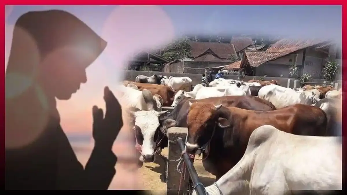 tata cara menyembelih: Persiapan sebelum Menyembelih: Syarat yang Wajib Dipenuhi