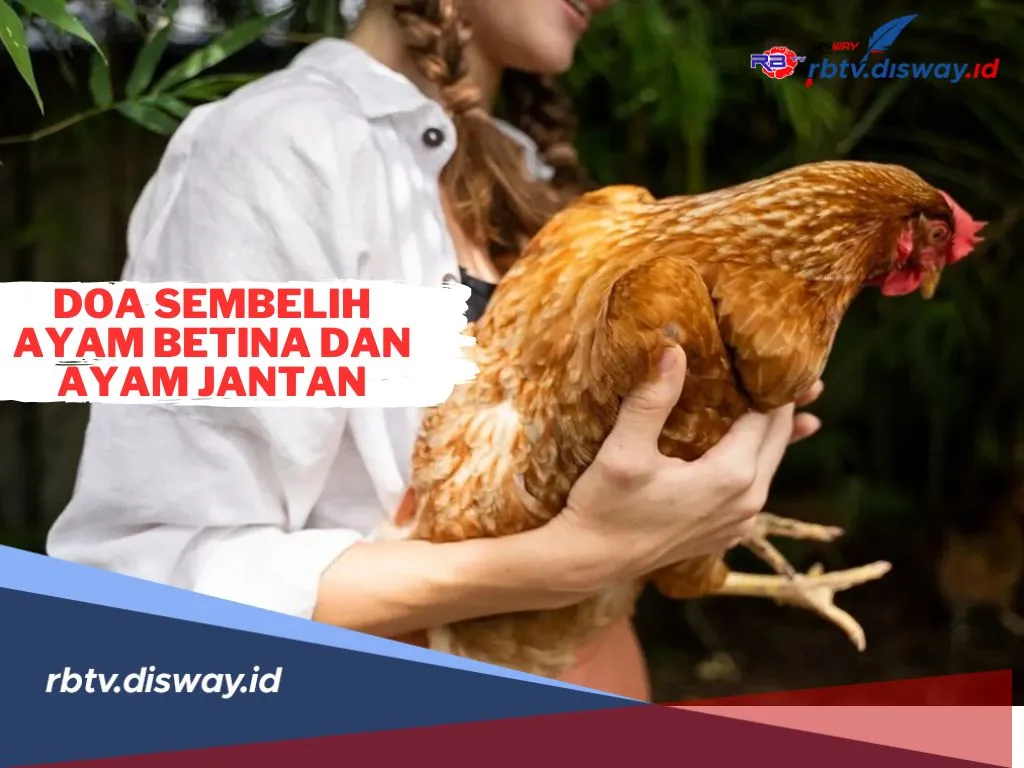 Doa Potong Ayam Menurut Islam Lengkap Arab, Latin, dan