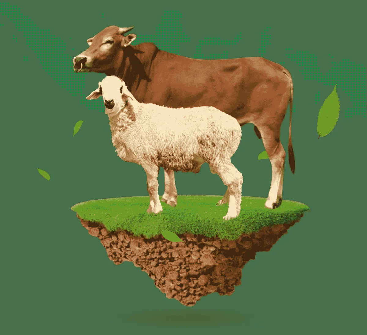 kurban