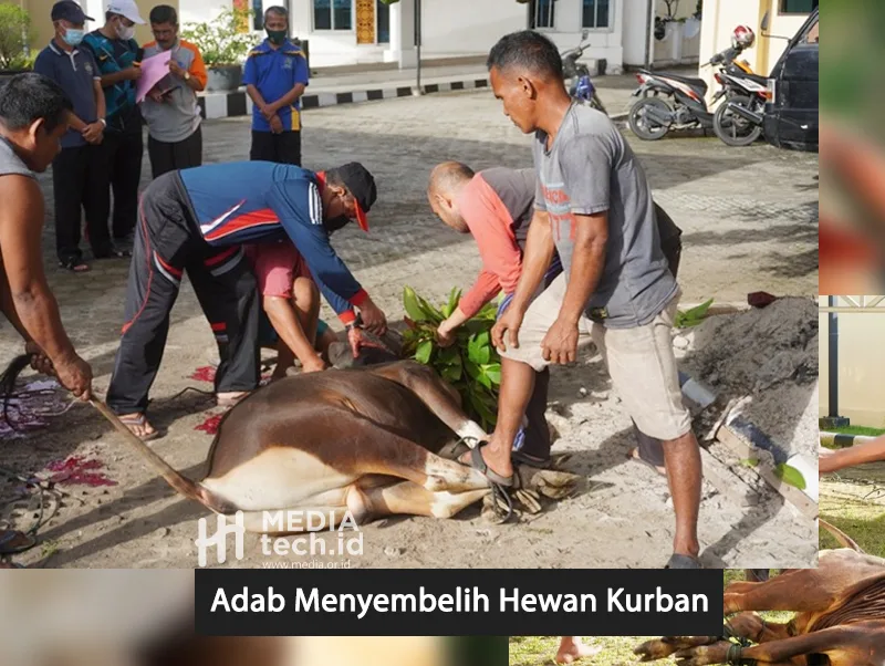 adab menyembelih