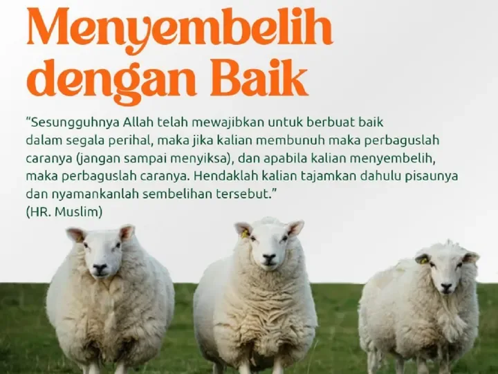 syarat menyembelih: Kesalahan Umum yang Merusak Keabsahan Penyembelihan