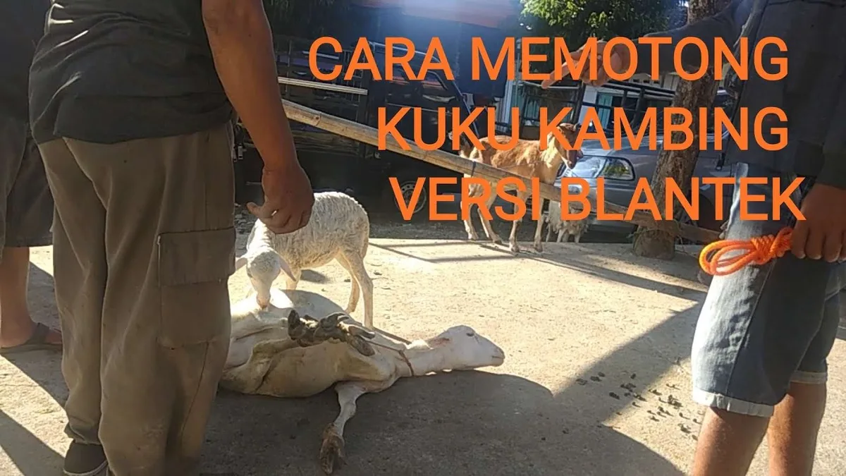 doa memotong kambing: Doa Memotong Ayam dan Hewan Lain: Apakah Bacaannya Sama?