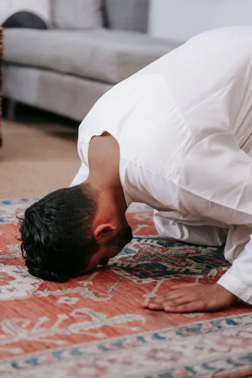 sujud