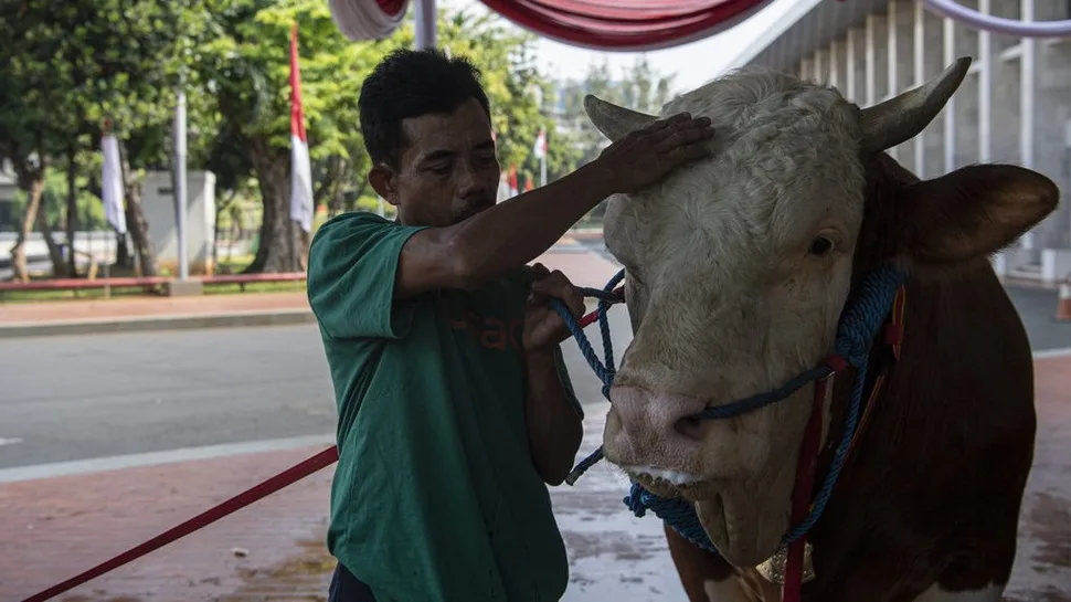 doa menyembelih sapi