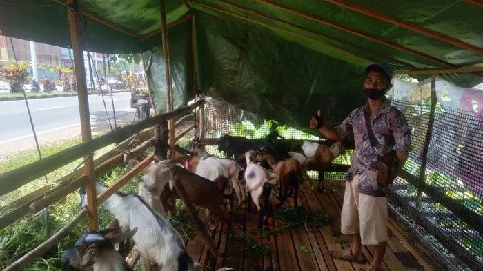 doa menyembelih sapi