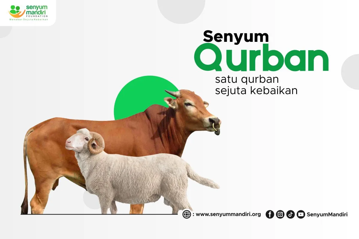 pengertian qurban: Perbedaan Qurban, Akikah, dan Sedekah Daging