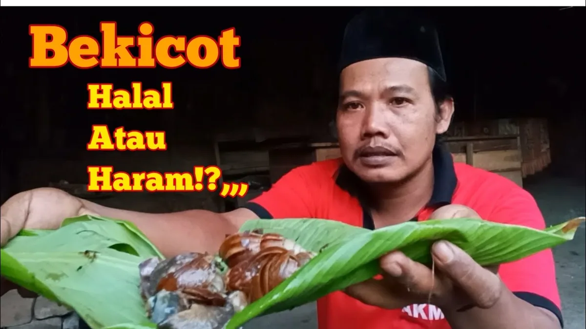 bekicot halal atau haram