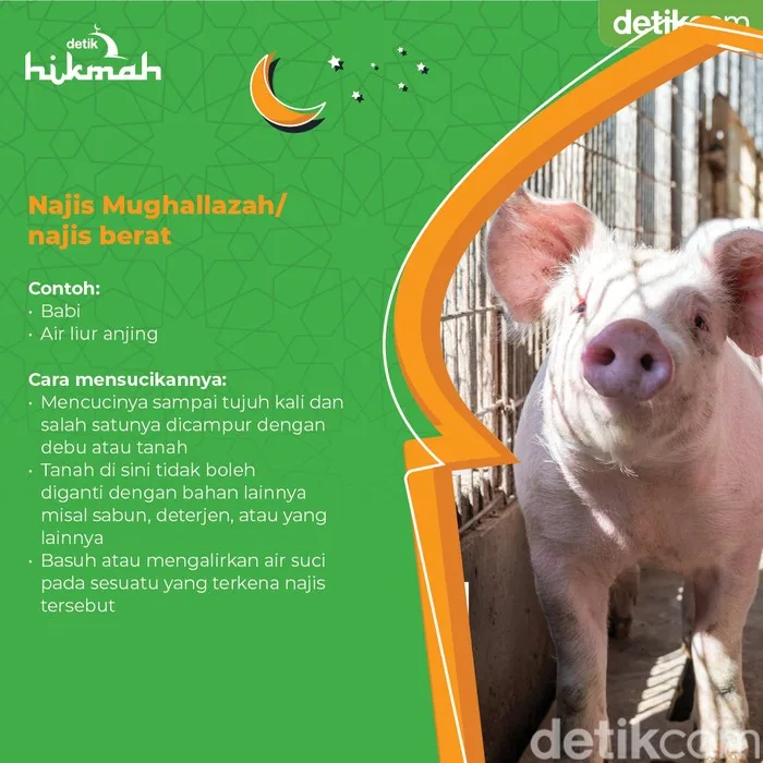 pengertian najis: Najis dan Kesehatan Lingkungan: Perspektif yang Sering