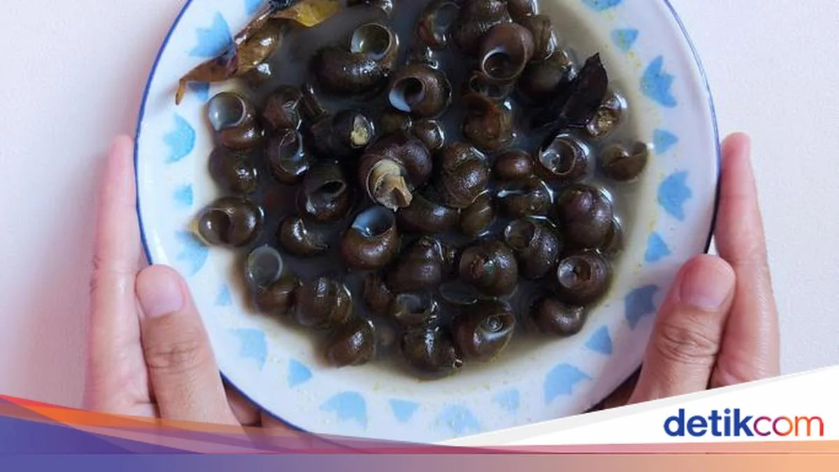 bekicot halal atau haram