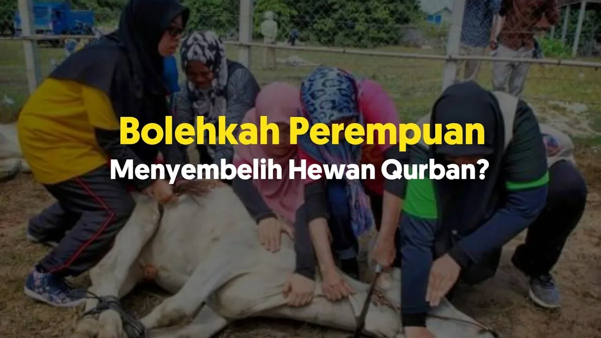 hukum menyembelih - Doa Menyembelih Aqiqah yang Benar dan Sering Dikeliru