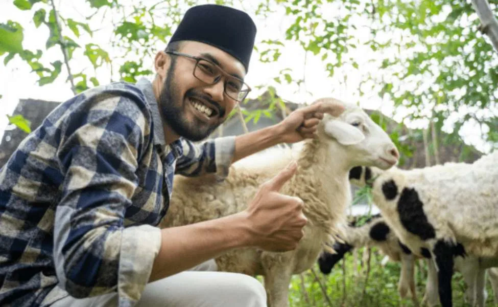 hukum kurban: Kurban dan Dimensi Sosial: Lebih dari Sekadar Ibadah Ritual