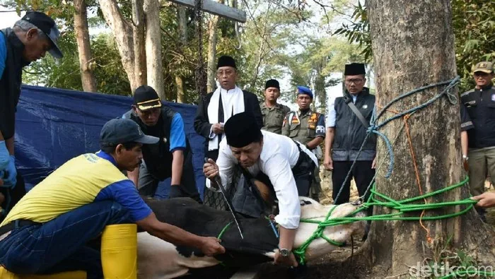 adab menyembelih