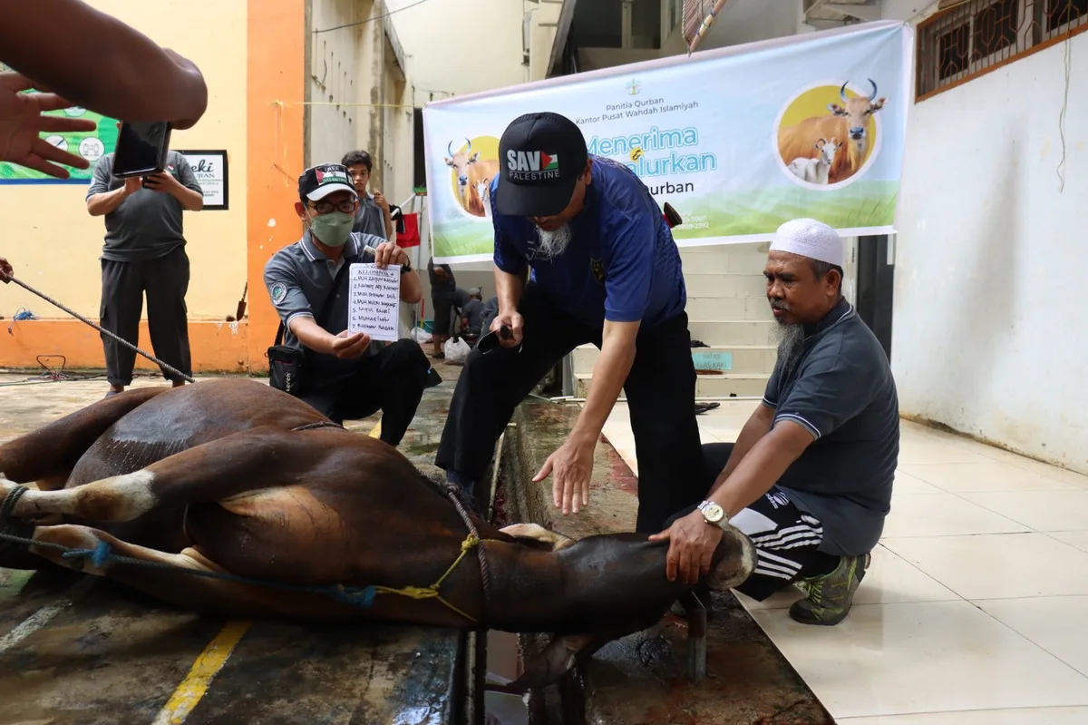 Kesalahan Umum dalam Penggunaan Alat Menyembelih