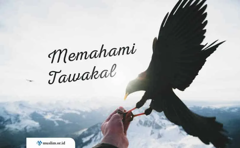 contoh tawakal