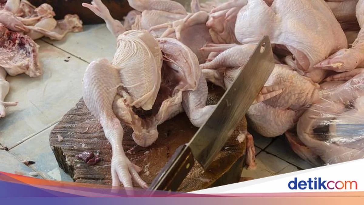doa potong ayam menurut islam: Adab dan Tata Krama Menyembelih Ayam dalam Islam
