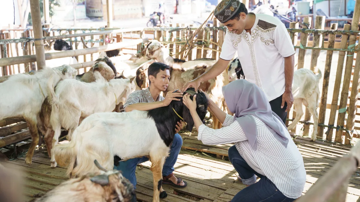 pengertian qurban - Ketentuan Jumlah Orang per Satu Hewan
