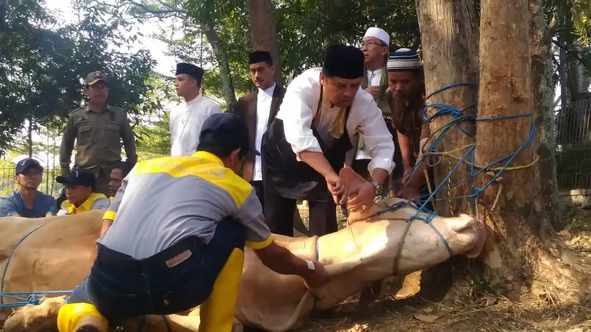 Standar Higienitas dan Keamanan Pangan pada Alat Menyembelih
