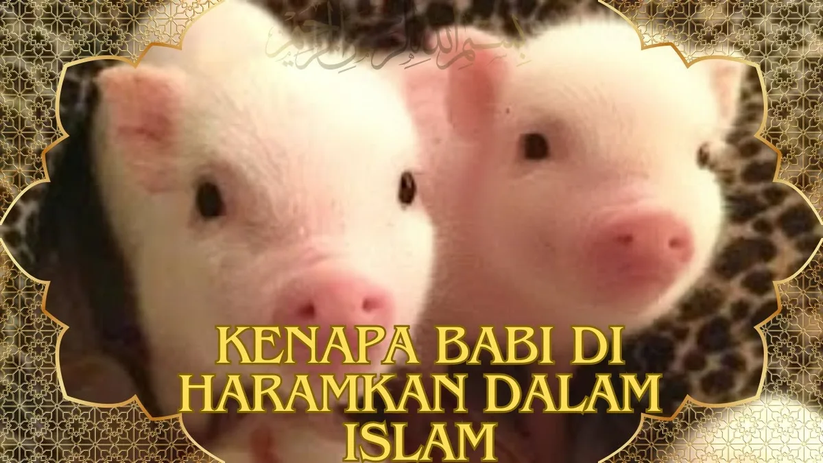 kenapa babi haram: Bagaimana Hukum Mengonsumsi Makanan yang Mengandung Turunan