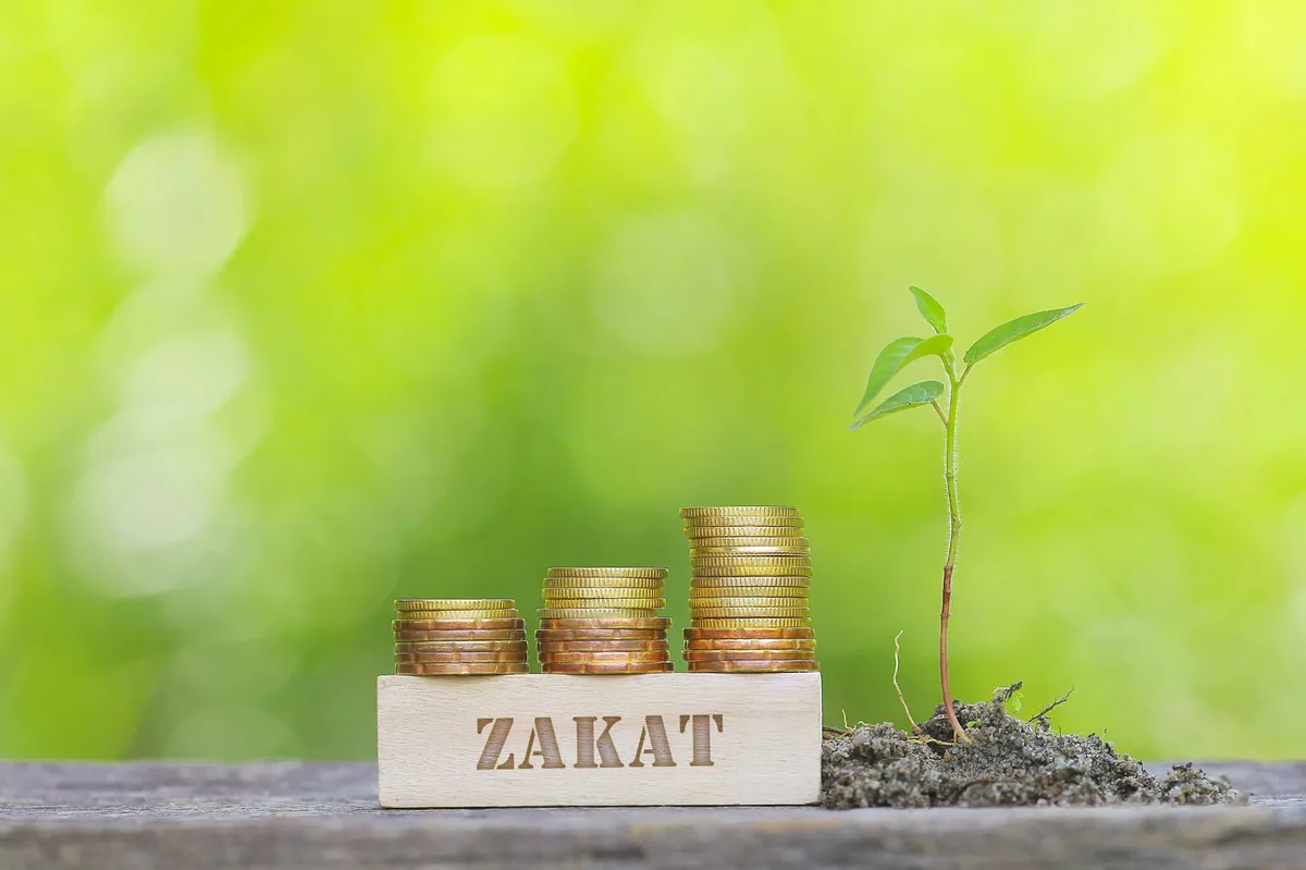 zakat dan sosial