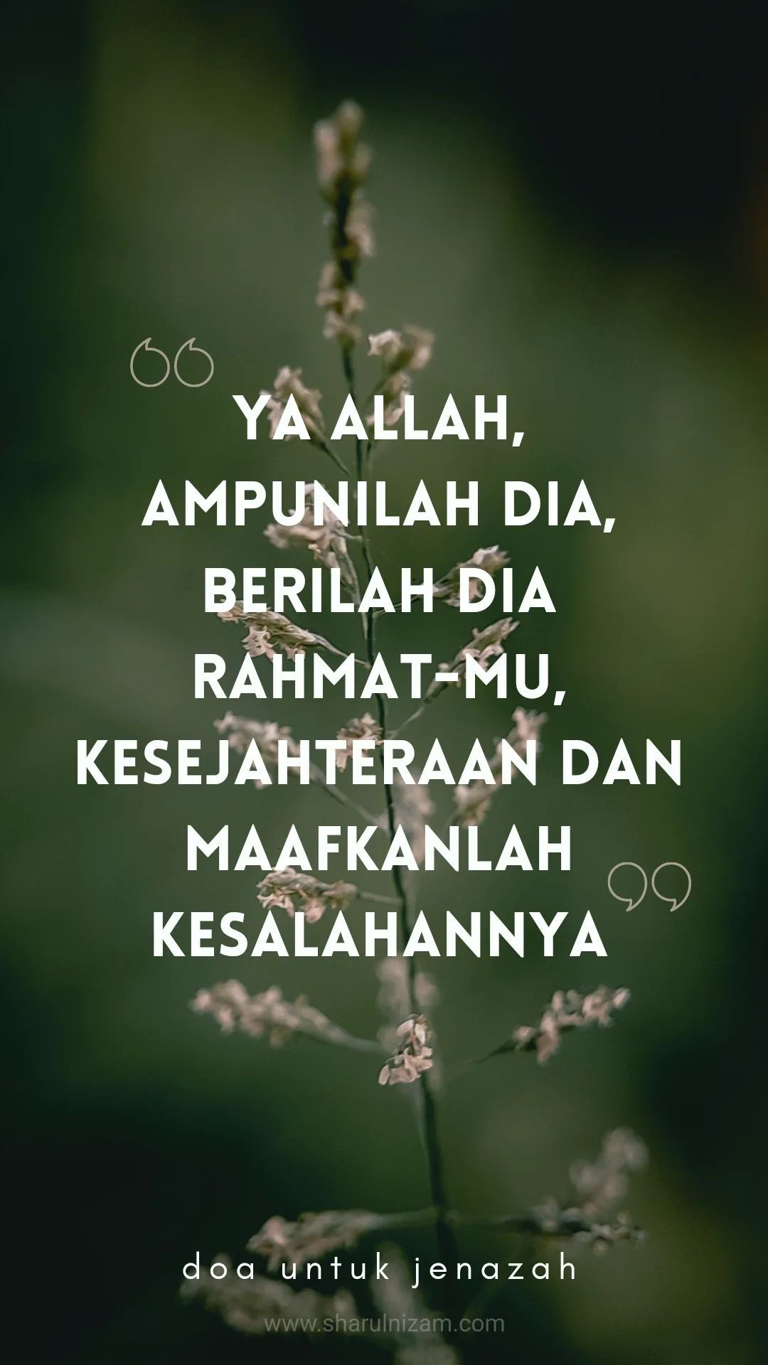 doa untuk orang meninggal - Doa Setelah Salat Jenazah dan Adab Melafalkannya