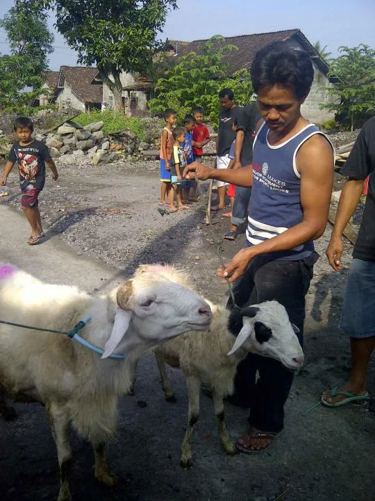 Tabel Ringkasan: Doa Memotong Kambing Sesuai Konteks