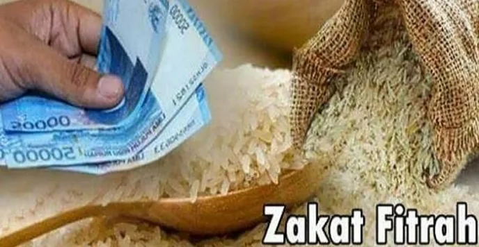 hukum zakat fitrah - Perbedaan Zakat Fitrah dan Zakat Mal