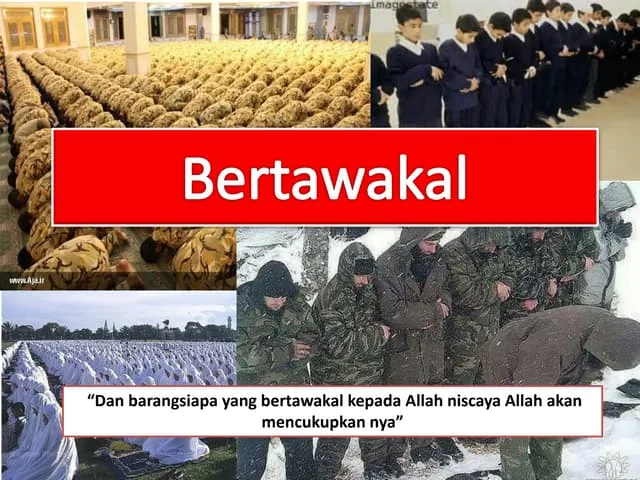 tingkatan tawakal