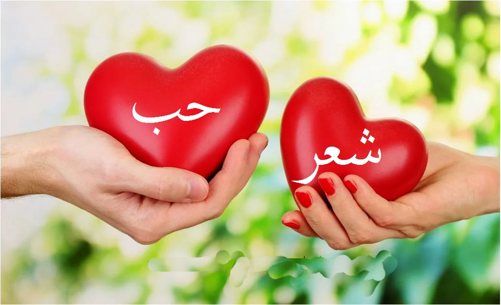 Bahasa Arab Cinta: Panduan dan Penjelasan Lengkap