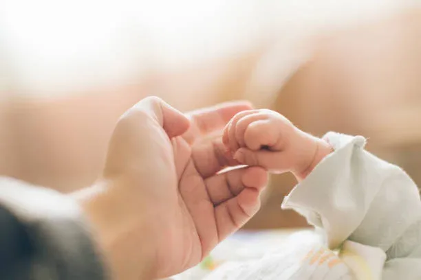 Pasal Zina yang Wajib Diketahui